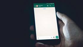 Что дает бизнес-аккаунт в WhatsApp в Крокс