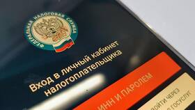 Где посмотреть, за что начислены налоги в Крокс