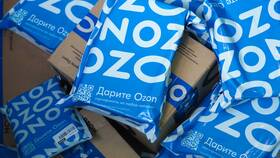 Как начать бизнес на Ozon с нуля в Крокс