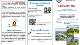Как оплатить транспортный налог через Госуслуги