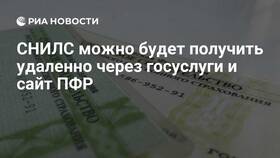 Как получить СНИЛС ребенку через Госуслуги онлайн в Крокс