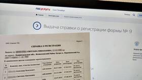 Как получить справку КНД 1160077 через Госуслуги в Крокс