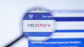 Как выглядит портал Госуслуги: интерфейс и основные разделы в Крокс