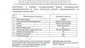 Как выглядит выписка из ЕГРИП для ИП в Крокс