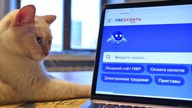 Почему заставляют регистрироваться на Госуслугах